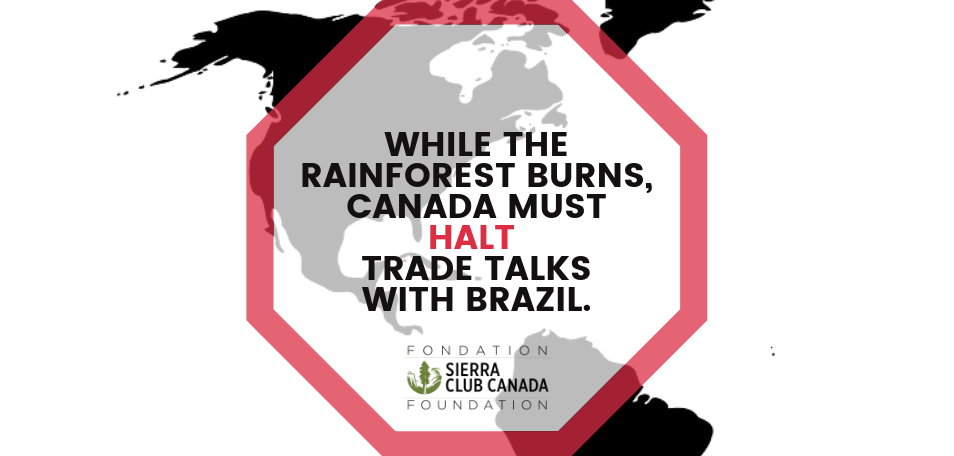 WHILE THE RAINFOREST BURNS, CANADA MUST HALT  TRADE TALKS WITH BRAZIL.