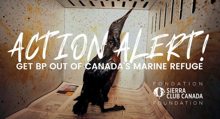 TAKE ACTION - Ministers, You Need to Get BP Out of Canada's Marine Refuge