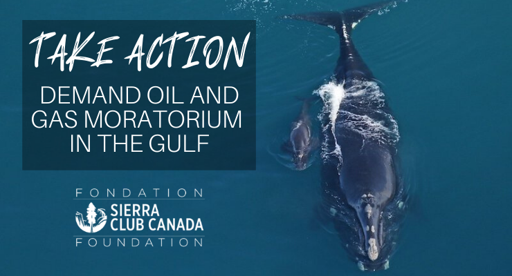 Take Action - demand oil and gas moratorium in the Gulf of St. Lawrence