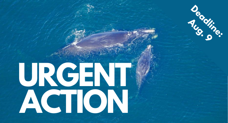 Urgent Action - send your letter today.