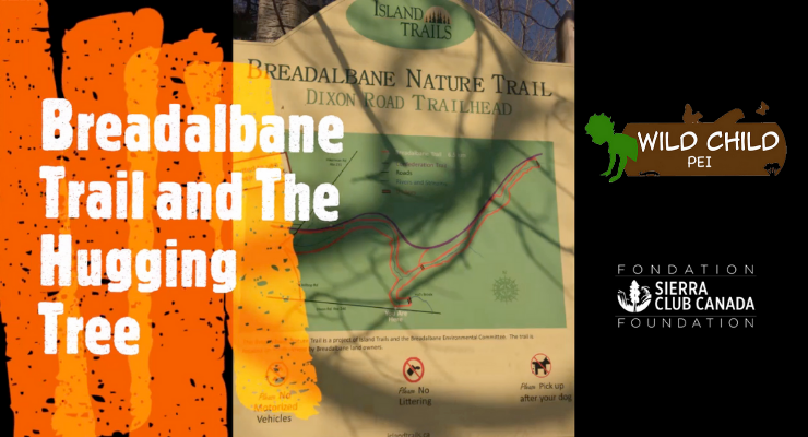 Exploring the Breadalbane Trail and a Special Reading of The Hugging Tree #COVID19