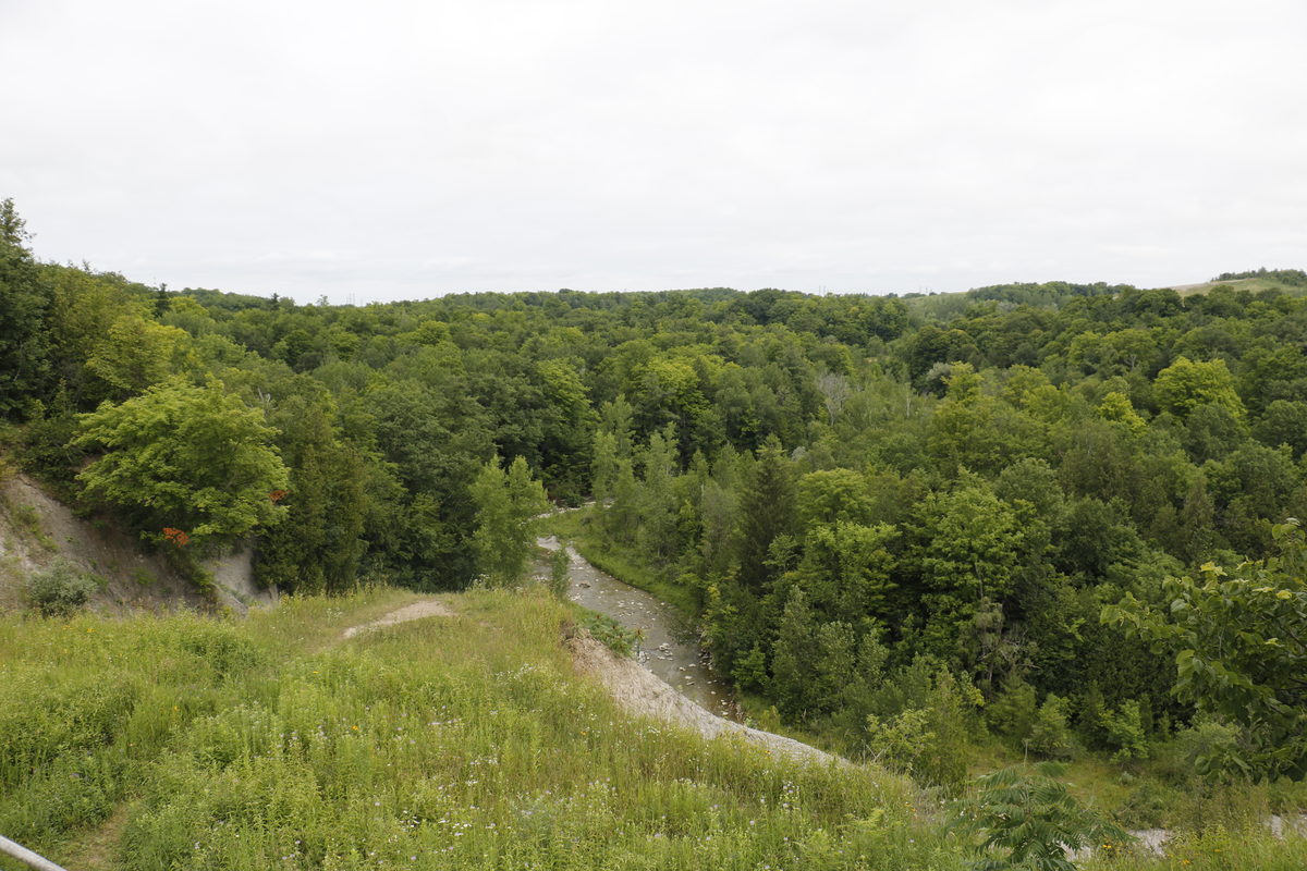 Little Rouge River as seen from Vista Trail platform