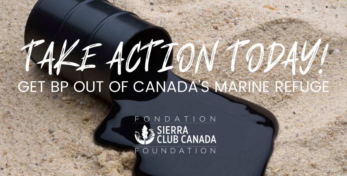 Take Action - Get BP Out of Canada's Marine Refuge