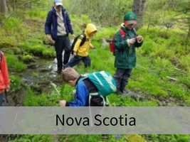 Nova Scotia Wild Child
