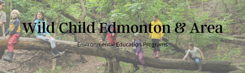 Wild Child Edmonton, children playing in a tree