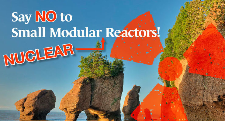 Say NO to More Nuclear Reactors