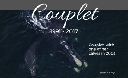 Couplet  1991-2017