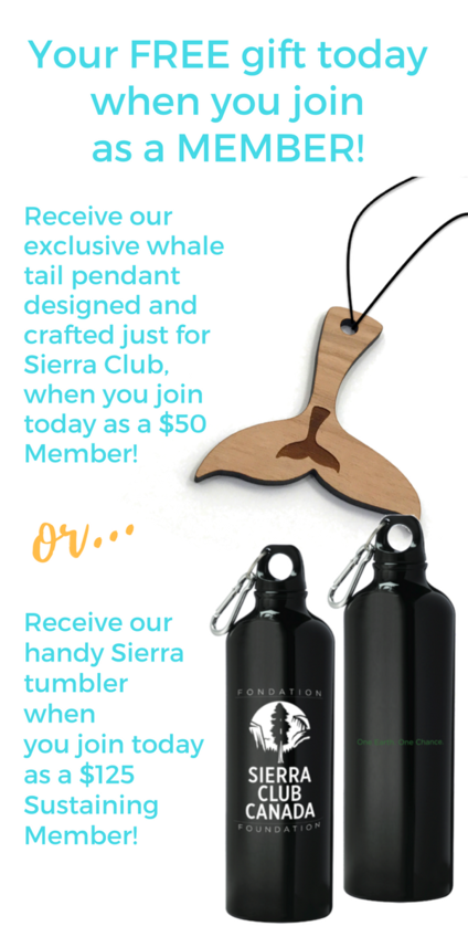Join us today and receive a special gift in celebration of your commitment to the environment.