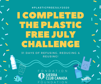 Plastic Free July - Take the Challenge 