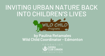Inviting Urban Nature Back into Children’s Lives